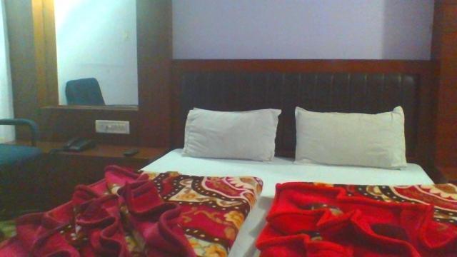 Sahara International Deluxe Otel Yeni Delhi Oda fotoğraf