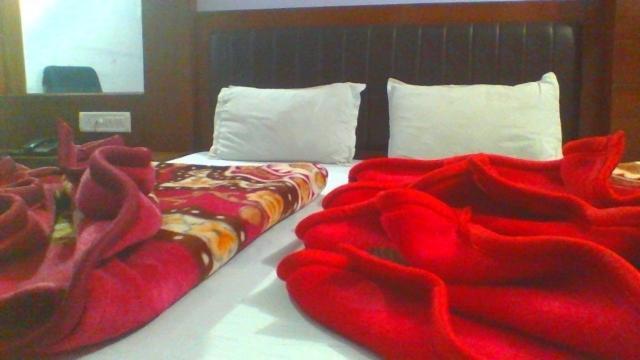 Sahara International Deluxe Otel Yeni Delhi Oda fotoğraf